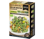 Kit cultivo mix brotes