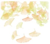 Funda nórdica devota & lomba rai - marca: devota & lomba - ean: 8434211822991 - tamaño: cama de 135 (220 x 220 cm)