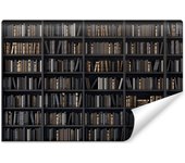 Papel pintado no tejido foto libros estantería para salón oficina 270cm x 180cm
