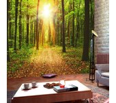 -talla ancho 150 x alto 105 cm