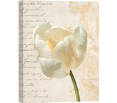 Cuadro de flores moderno - impresión sobre lienzo - elena dolci, tulip i - dimensiones 70x100 cm