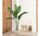 Planta artificial - ave del paraíso 150 cm