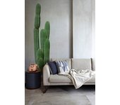 Pegatina decorativa, foto auténtica de un cactus, 60 cm x 170 cm