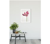 Cartel artístico de komar - tulip - talla: 50 x 70 cm