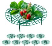Relaxdays soporte para fresas, set de 10, protección contra caracoles, plástico, rejilla anti putrefacción y moho, verde