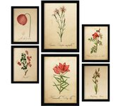 Nacnic posters de flores rojas ilustraciones de naturaleza y botánica estilo papel vintage con temas florales para la a4 & a3 marco negro