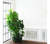 Hoja decorativa única en papel tapiz inundado, carpintería de embarque de inmitación, patrón de hoja tropical en un fondo verde, 75 cm x 200 cm