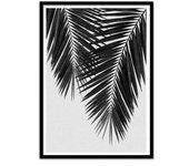 Art-poster - palm leaf part 3 black and white - orara studio - con marco negro 30 x 40 cm