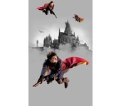 Fotomural harry potter colegio hogwarts gris y rojo - 1,5 x 2,7 m - sanders & sanders