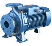 Bomba centrífuga monobloque trifásica de superficie pedrollo f4 80/160c