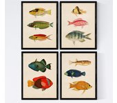 Set de 4 láminas de peces coloridos efecto vintage. composicion de 11 peces diferentes, fondo papel antiguo vintage sin marco - a4
