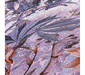 Papel pintado dream flowery 381772