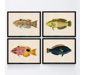 Set de 4 láminas con pez colorido efecto vintage tono azul amarillo verde. composicion de 4 peces diferentes en , fondo papel antiguo sin marco - a4