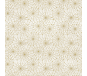 Papel pintado floral geométrico
