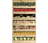 Calcomanía de refrigerador y lavaplatos, verduras de mercado de sabores frescos decoración de decoración casera, 180 cm x 100 cm