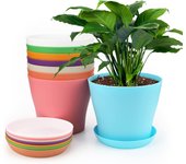 Macetas de plástico de 8 piezas de 16 cm, ideales para interior y exterior, con bandejas, ideales para plántulas y cactus.