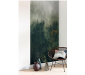 Papel pintado no tejido panorámico de komar - stefan hefele tales of the carpathians panel - talla: 100 x 250 cm