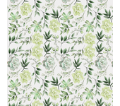 Papel pintado floral suculentas blanco