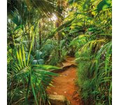 Foto de pared sendero en la jungla 368 x 254 cm