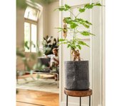 Trendcover 23 jardinera todo en uno fieltro gris oscuro lechuza
