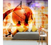 Papel pintado - baloncesto [100x70]
