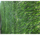 Seto artificial - 30 varillas | 1x3m