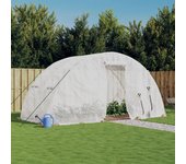 Invernadero con estructura de acero blanco 10 m2 5x2x2,3 m