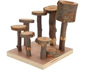Juego de juguetes para actividades de animales pequeños, escalera para escalar para mascotas pequeñas, parque infantil para hámster, madera de manzano