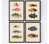 Set de 4 láminas de peces coloridos efecto vintage. cantabrico. composicion de 11 peces diferentes, fondo papel antiguo vintage. sin marco - a4