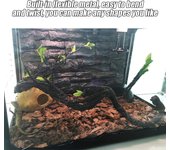 Jaula de terrario con ramas curvas y ramas de jungla y bosque, con forma de enredadera artificial para repti