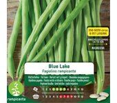 Semillas de frijol ioli blue lake creeper en bolsa