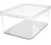 Rotho cauma contenedor nevera en san transparente lt 4,65, con tapa