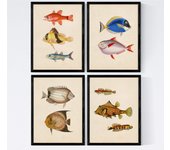 Set de 4 láminas de peces coloridos efecto vintage. atlantico. composicion de 10 peces diferentes, fondo papel antiguo vintage. sin marco - a4