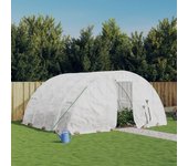 Invernadero con estructura de acero blanco 20 m2 5x4x2,3 m