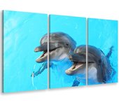 Cuadro tríptico animales nuestros amigos delfines - 90x60 cm