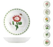 H&h nuevo 6 platos de porcelana flores cm 20