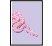 Art-poster - pink snake - paul fuentes - con marco negro 30 x 40 cm