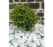 Canto rodado blanco brillante 40-60 - pack 40 sacos - 800 kg