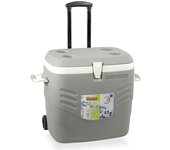 Nevera Portátil Rígida Hidalgo Premium Gris 41 L