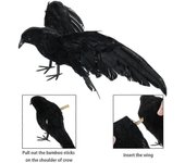 Cuervos emplumados con aspecto de cuervo realista, plumas negras