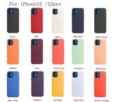 Funda de silicona con Magsafe para Iphone 12 12 Pro Cyprus Green