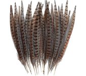 30 piezas plumas de faisán natural, pluma de colas de faisán de bricola, 15-28 cm suave pluma nativa compatible sombreros de pelo artesanía decorac...