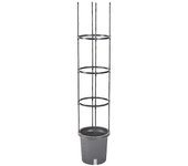 Tomate Grower Pot Planter Growing Set Support Home Garden Interior Outdoor