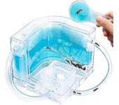 Castillo de la granja de hormigas Kit de aprendizaje de ciencia del hábitat de hormigas Estudia el comportamiento de los insectos con tubo Azul