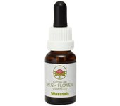 Australian Bush Flowers Flores Arbusto Australiano Waratah 15ml