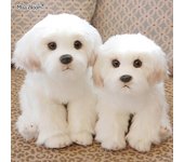 Maltés Muñecos De Peluche De Perro De Peluche Juguete Lindo Simulación Mascotas Bebé Esponjoso Regalos De Cumpleaños Navidad Childr Tamaño M y L (2...