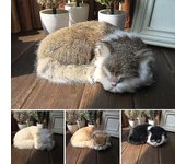 Gato Durmiendo Gato Durmiente Realista Peluche Gato Durmiente Blanco