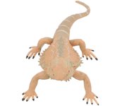 Figura del dragón barbudo Lagarto de plástico realista Figura de reptil Accesorio educativo 12.5X6.5X3.5CM