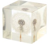 Decoración de escritorio de cubo Diente de león creativo Regalo de adorno artesanal transparente para la oficina en casa 5x5x4.6cm