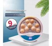 Incubadoras de huevos todo en uno (9 huevos): incubadoras automáticas Gashapon con control digital de temperatura y humedadNuevo modelo 2024 DG